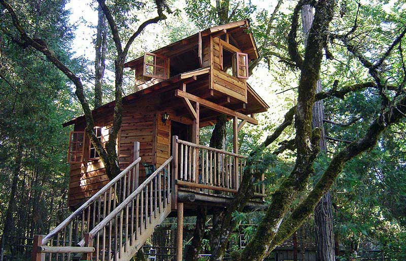 Wonderful Tree Houses Ideas