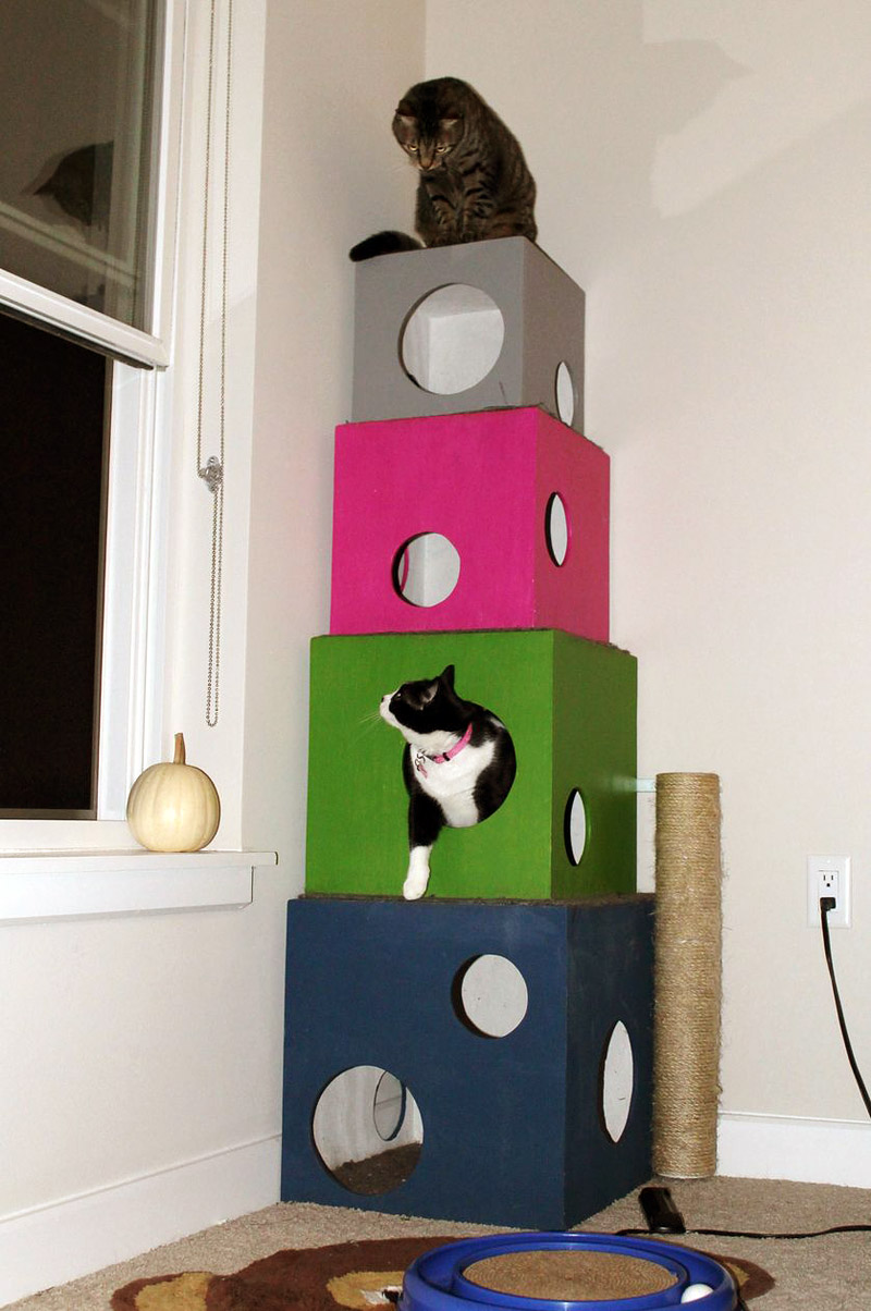 5 DIY cat trees to improve your kitty's life