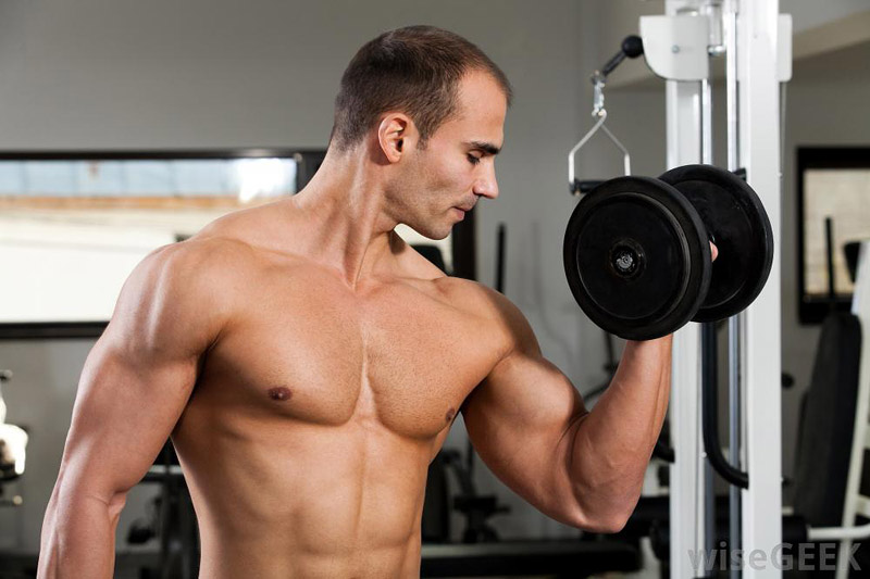 Bodybuilding Diet - Maximize Your Muscle
