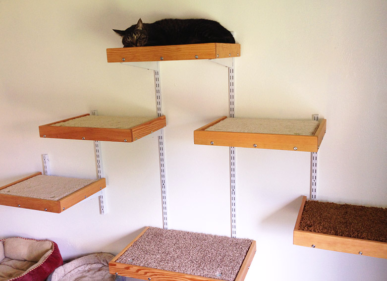 5 DIY cat trees to improve your kitty's life