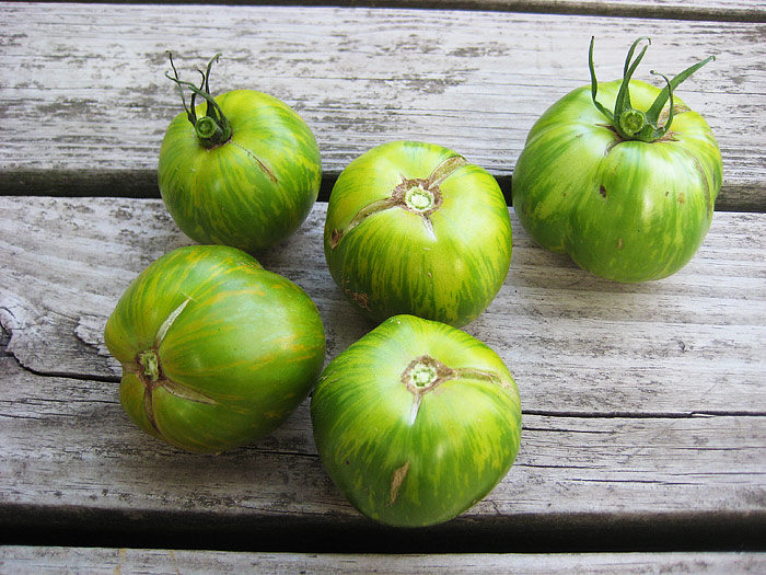 Top 10 Heirloom Tomatoes for the Garden