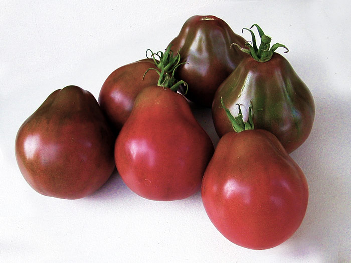 Top 10 Heirloom Tomatoes for the Garden