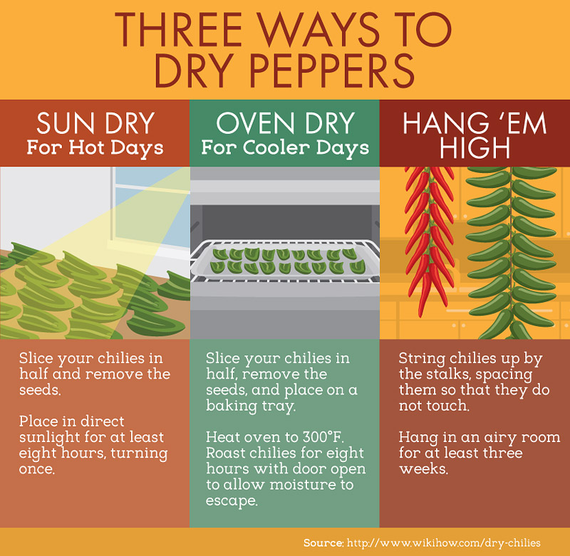 Hot Tips for Growing Chili Peppers at Home