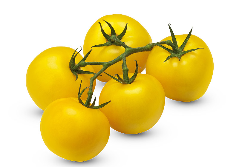 Tomatoes Nutritional Value - Which Type to Plant?