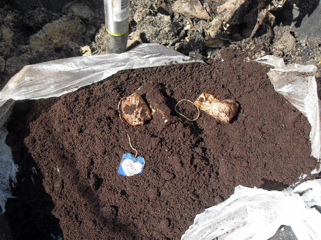 Fertilize Your Plants With Coffee Grounds and Eggshells