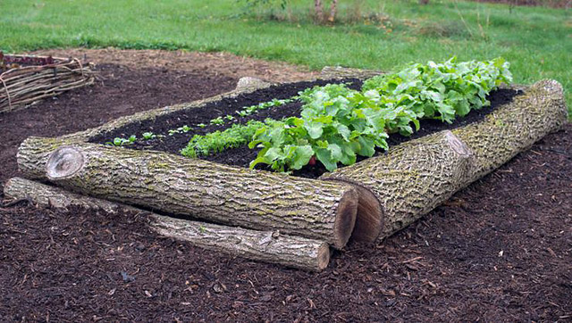 DIY Gardening Ideas - 4 Easy to Make Garden Raised Beds