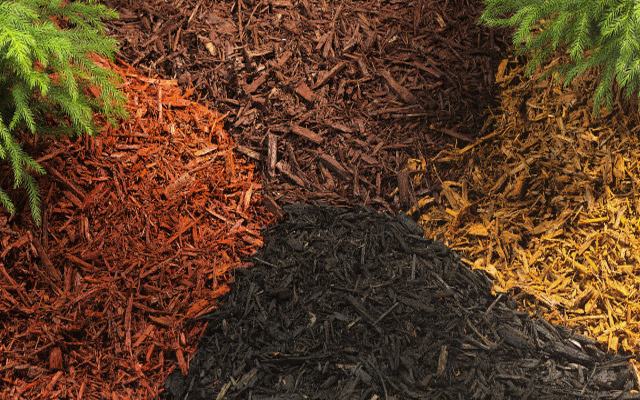 Mulch Buying Guide - Learn About Types of Mulch