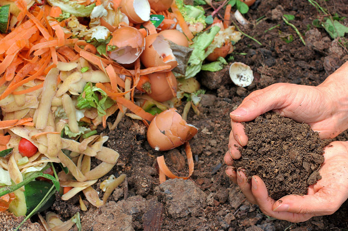 Healthy Soil: The Key to a Healthy, Productive Garden