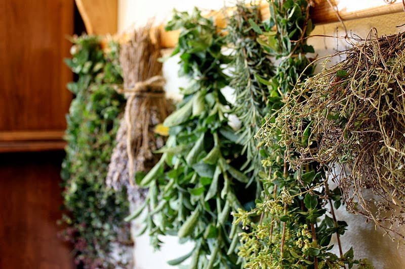 How To Dry and Store Your Garden Herbs