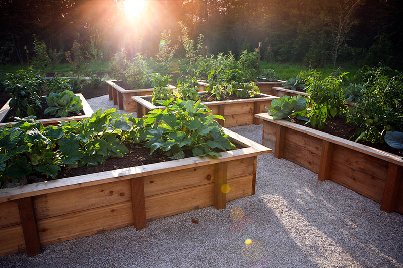 5 Dirty Secrets to a " Less Work " Garden