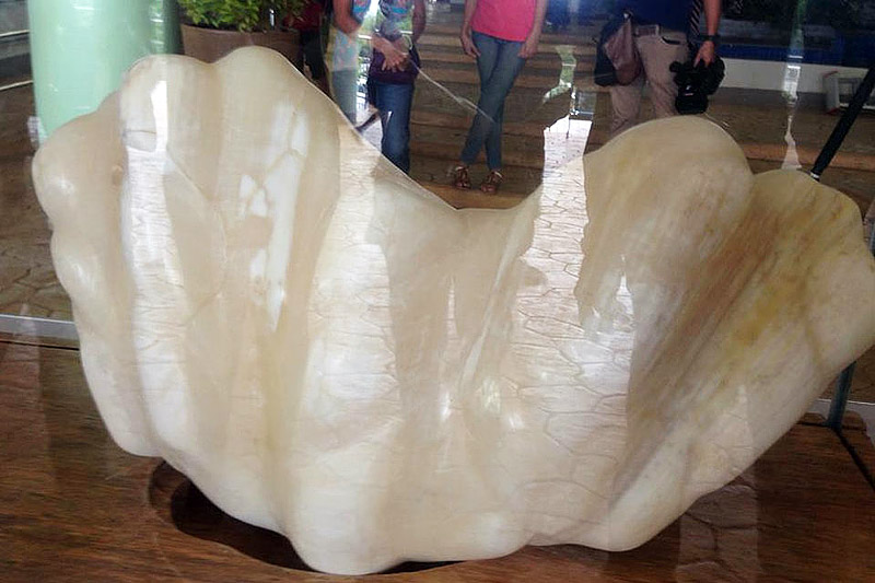Fisherman Found Giant Pearl Worth $100million! 