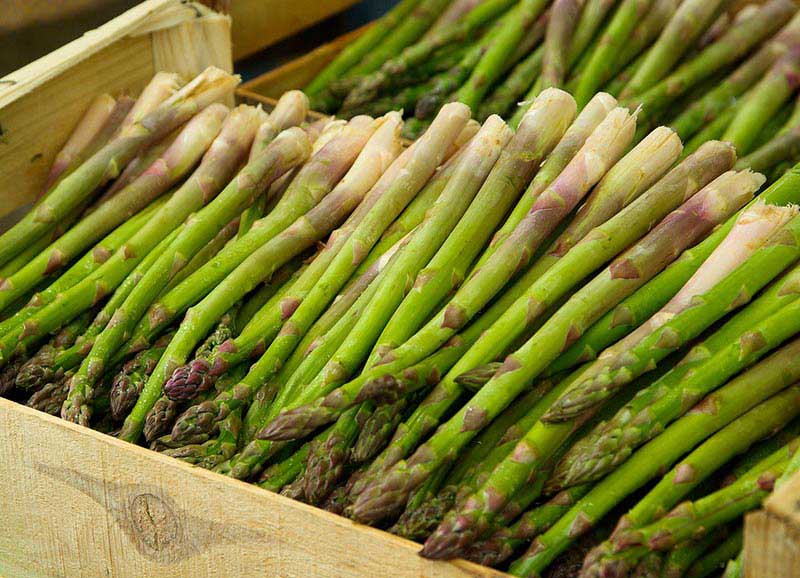 Asparagus Powerful Health Benefits