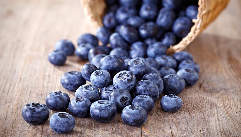 Anti Aging Effects of Blueberries