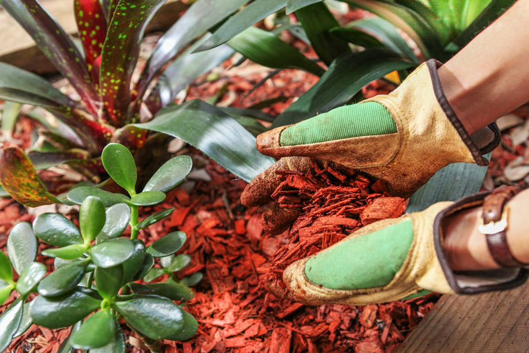 Mulch Your Flower Beds