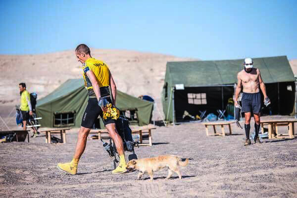 Runner Wants To Adopt Stray Dog Who Ran Through The Gobi Desert With Him