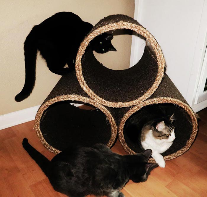 DIY Tutorial Kitty Corner Cat Play House