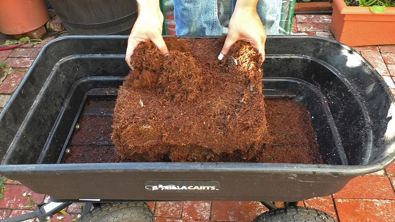 What is Coir and How to Use It in the Garden