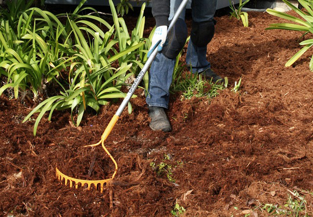 Mulch Buying Guide - Learn About Types of Mulch