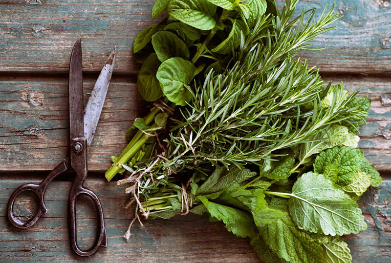 How To Dry and Store Your Garden Herbs