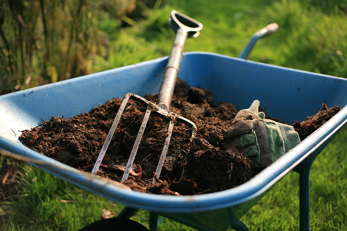 Healthy Soil: The Key to a Healthy, Productive Garden