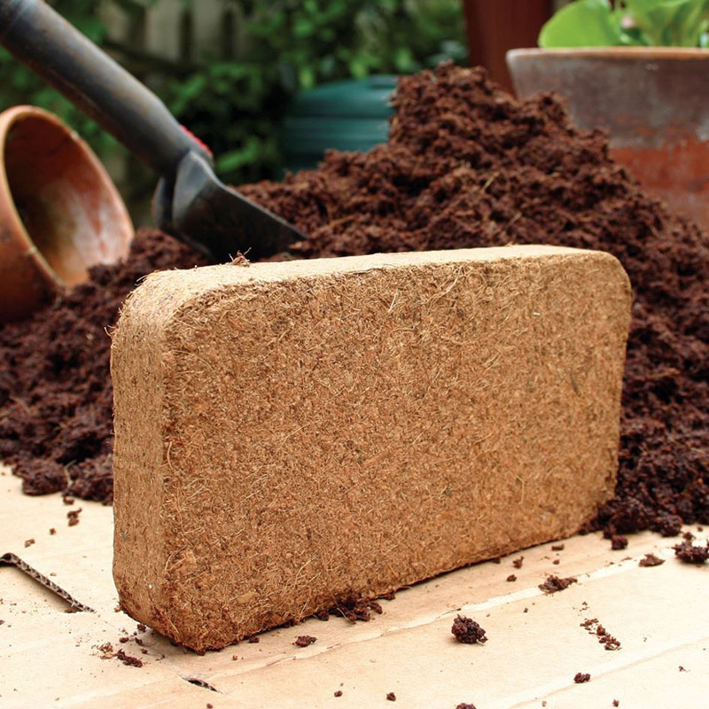 What is Coir and How to Use It in the Garden