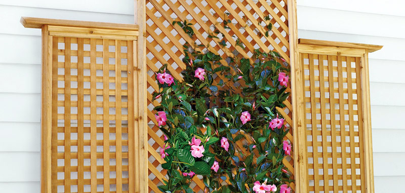 DIY - How to Make Trellis for Your Climbers