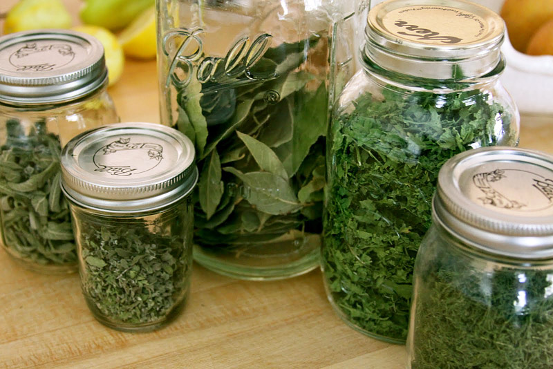 How To Dry and Store Your Garden Herbs