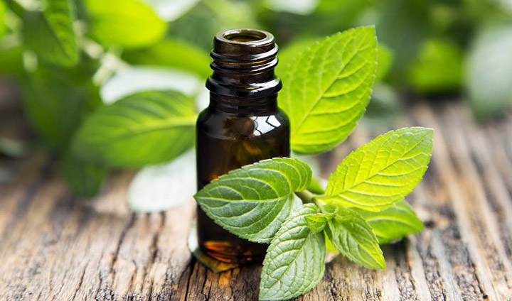 Top 10 Essential Oils and Their Health Benefits