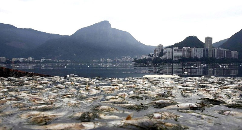 The Rio Olympics: Superbugs, Sewage and Scandal