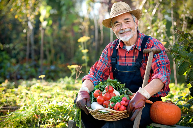 7 Things First Time Gardeners Should Know