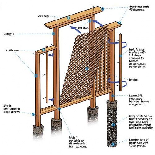 DIY - How to Make Trellis for Your Climbers