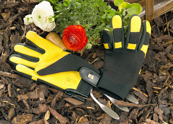 Gardening Tools Every Gardener Should Have 