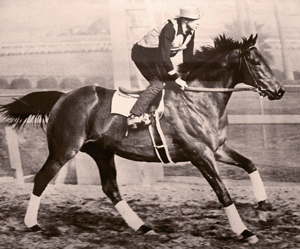 Top 10 Most Famous Horses In The History