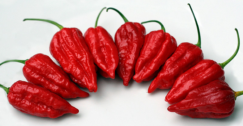 Top 10 Hottest Peppers in The World 2016