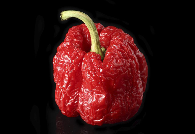 Top 10 Hottest Peppers in The World 2016