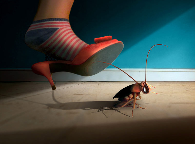 How to Get Rid of Roaches Naturally
