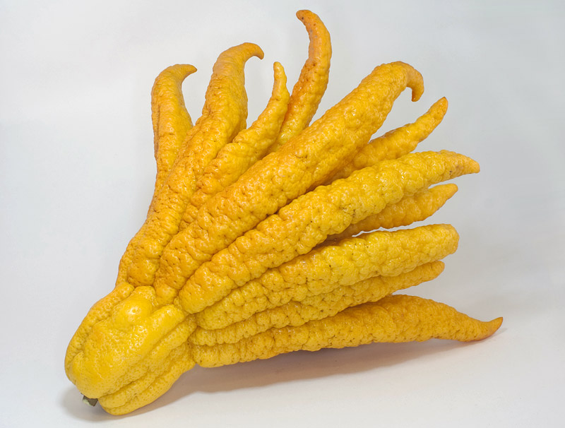 Top 10 Most Exotic Fruits You Should Try