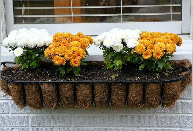 Outdoor Decoration - Fall Flower Boxes Ideas