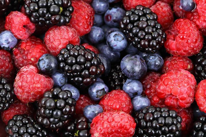 For Perennial Fruit Gardens, Berries Are the Way to Grow