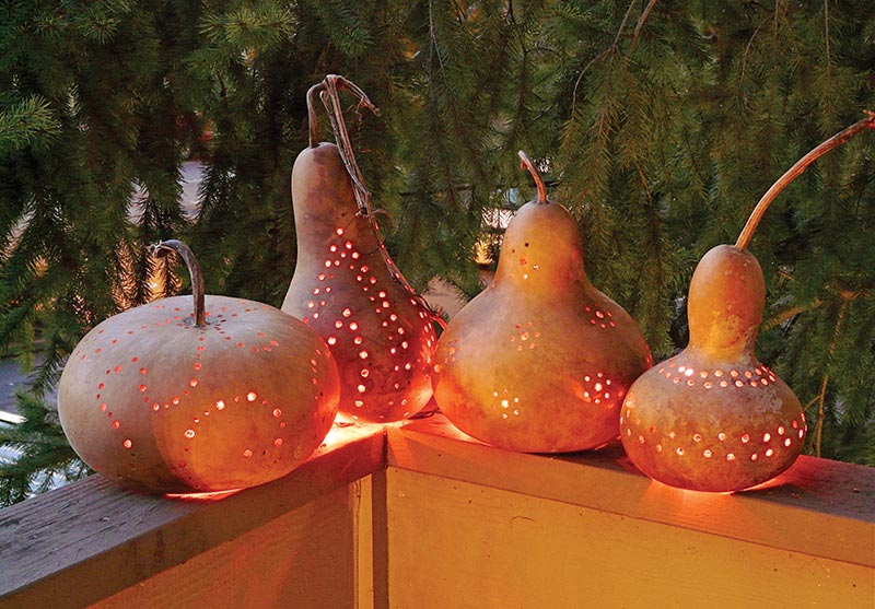 How to Dry or Cure Gourds