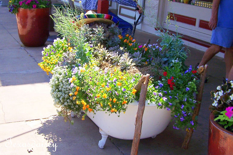 Ideas for Container Gardens