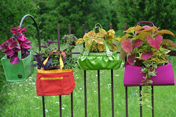 Ideas for Container Gardens
