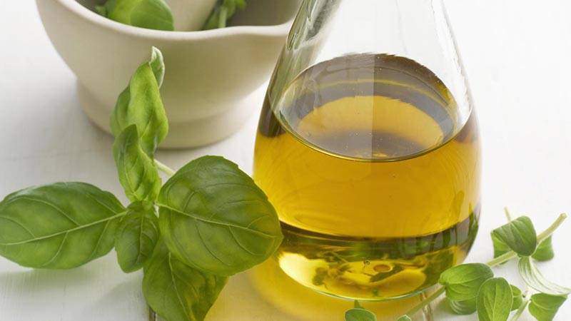 Oregano Oil Health Benefits