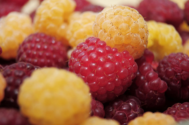 23 Healthiest Superfruits
