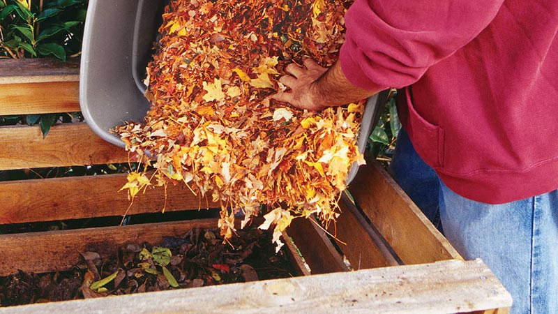 Tips to Make Fall Clean Up Easier
