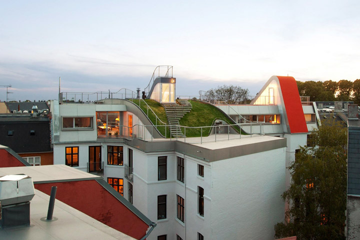Use The Roof To Create Your Missing Garden