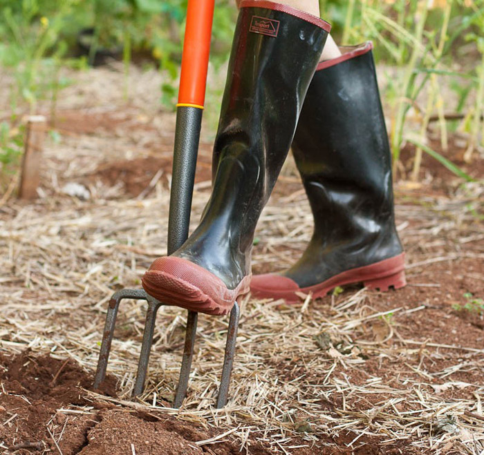 Gardening Tools Every Gardener Should Have 