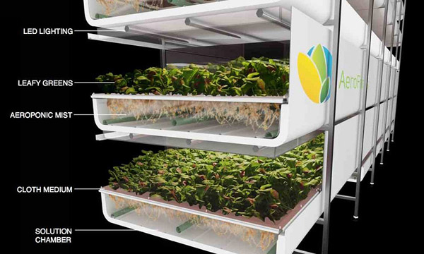 Indoor Hydroponic Systems - Easy Home Garden