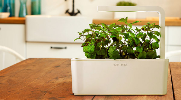 Indoor Hydroponic Systems - Easy Home Garden