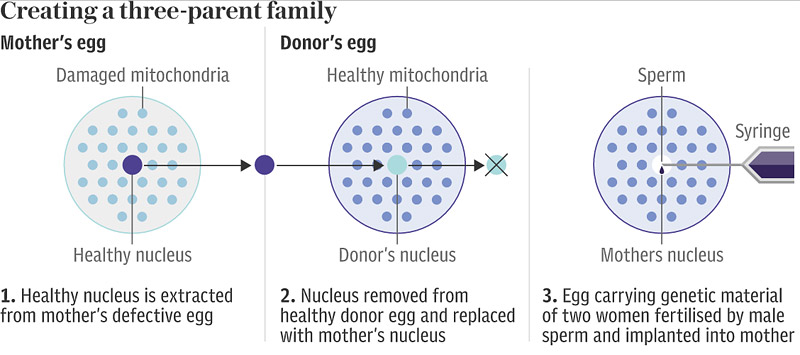 World's first baby born of three parents baby technique